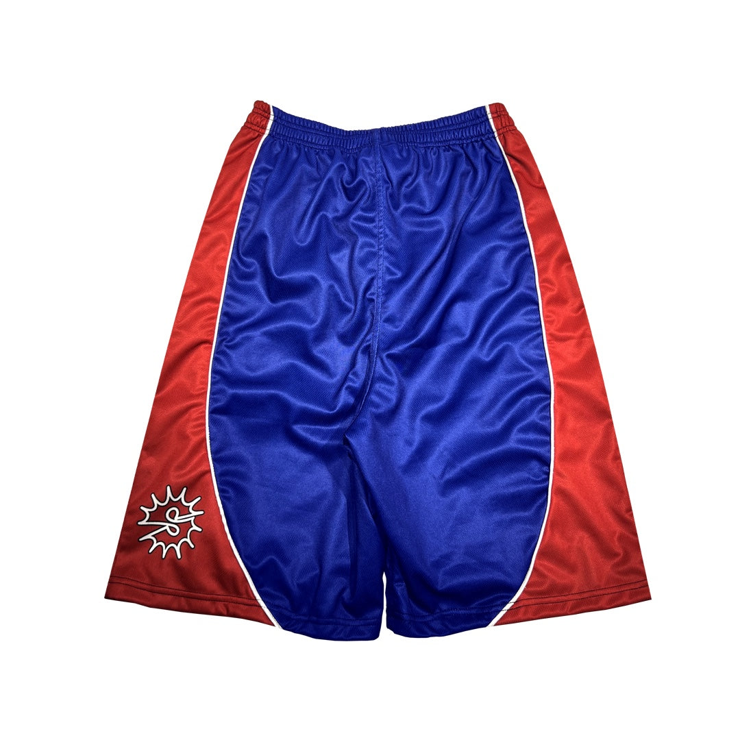 ALL CITY SHORTS